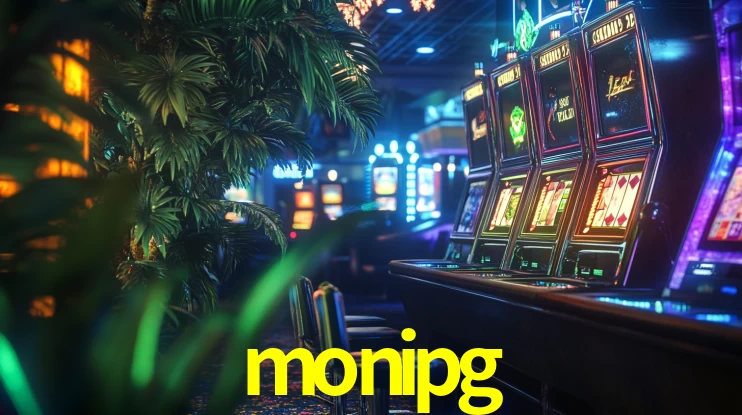 monipg App Interface